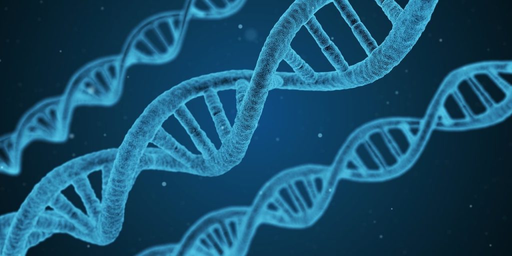 Rendering of DNA strands